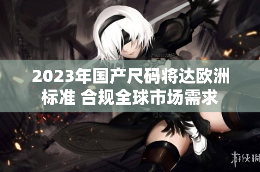 2023年国产尺码将达欧洲标准 合规全球市场需求