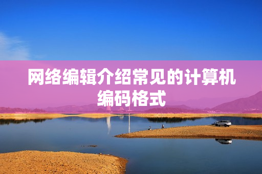 网络编辑介绍常见的计算机编码格式